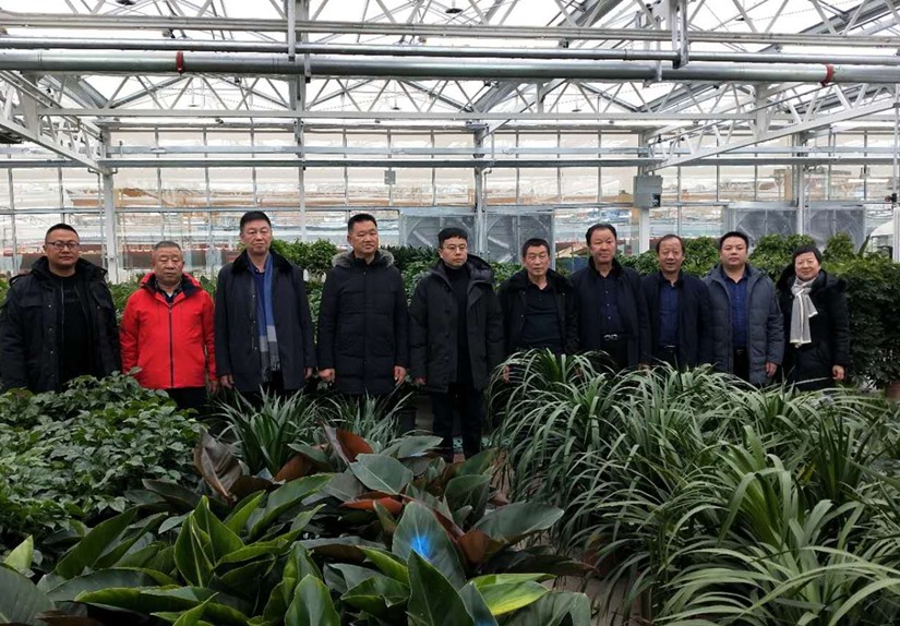 圖為：集團考核領(lǐng)導(dǎo)小組參觀烏蘇花卉市場_副本_副本.jpg