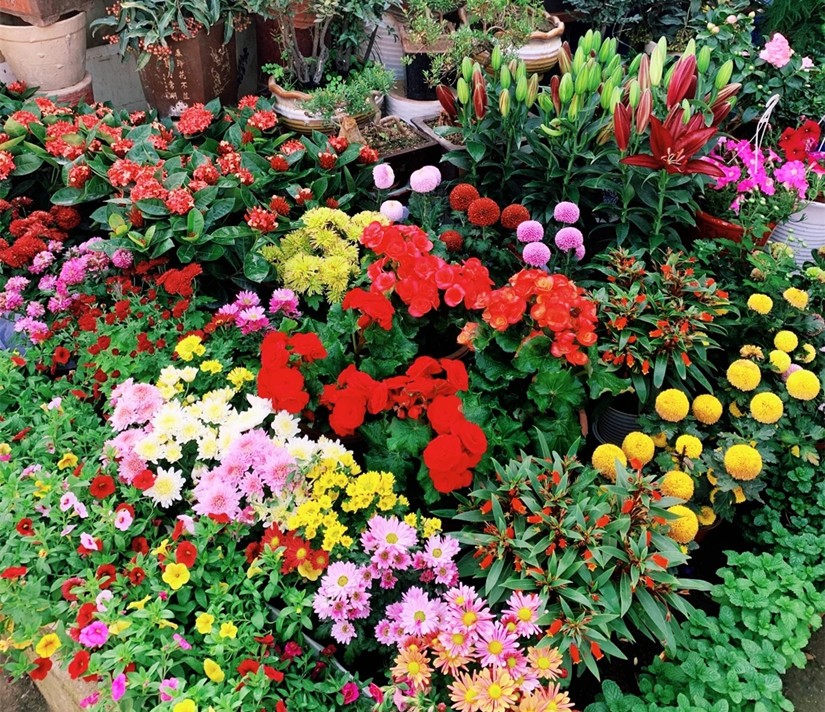 1638330298529884.jpg 微信圖片_20211201114434_副本.jpg