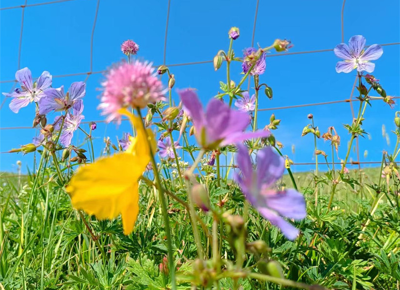 1690883916986147.jpg 微信圖片_20230724181316_副本.jpg